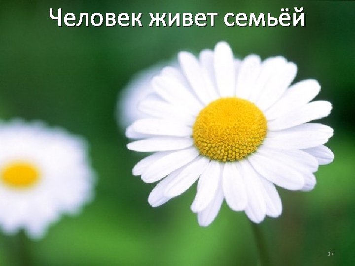 Человек живет семьёй 17 