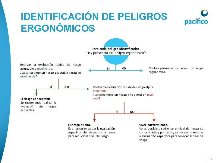 IDENTIFICACIÓN DE PELIGROS ERGONÓMICOS | 19 