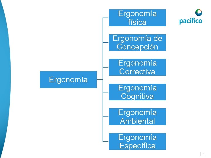 Ergonomía física Ergonomía de Concepción Ergonomía Correctiva Ergonomía Cognitiva Ergonomía Ambiental Ergonomía Específica |