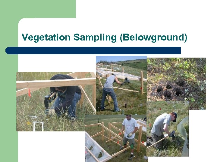 Vegetation Sampling (Belowground) 