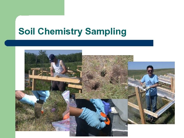 Soil Chemistry Sampling 