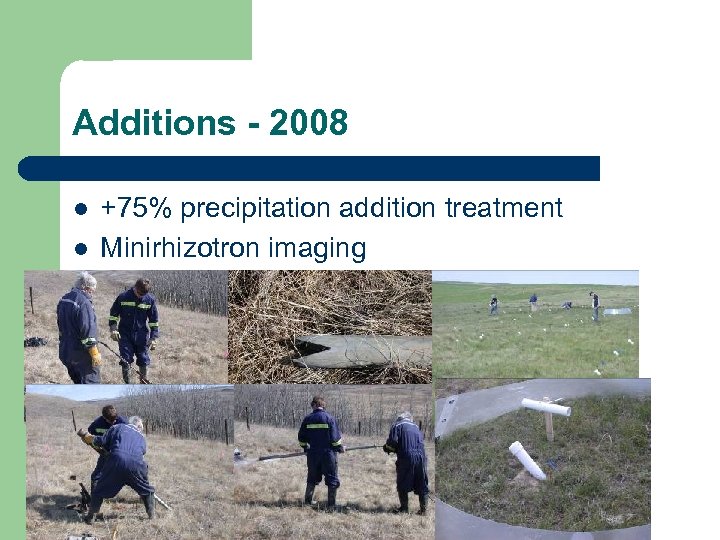 Additions - 2008 l l +75% precipitation addition treatment Minirhizotron imaging 