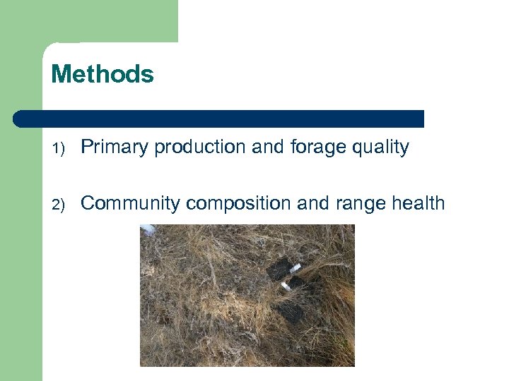 Methods 1) Primary production and forage quality 2) Community composition and range health 