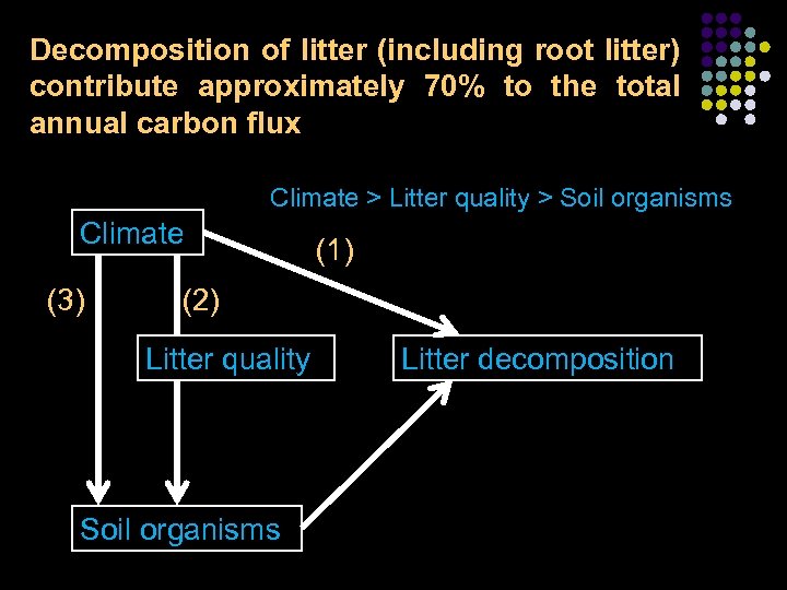 Decomposition of litter (including root litter) contribute approximately 70% to the total annual carbon