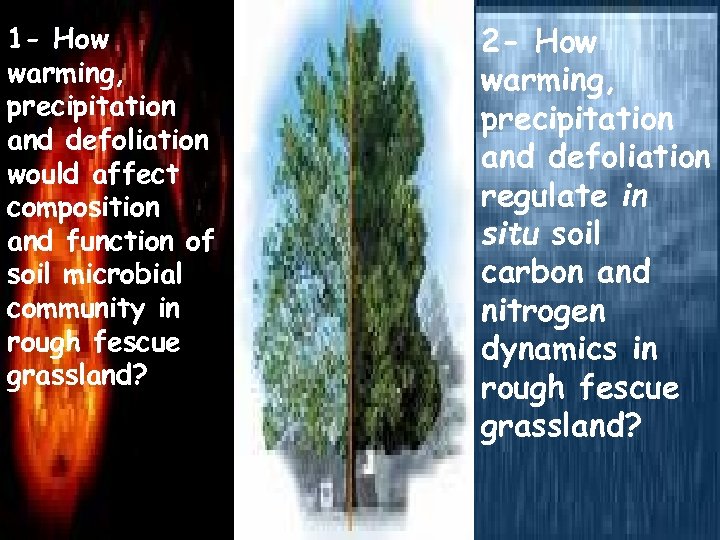 1 - How warming, precipitation and defoliation would affect composition and function of soil