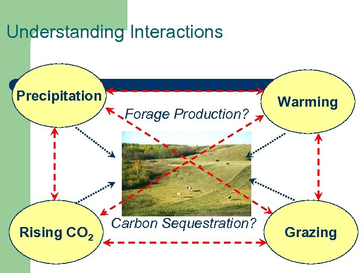 Understanding Interactions Precipitation Forage Production? Rising CO 2 Carbon Sequestration? Warming Grazing 
