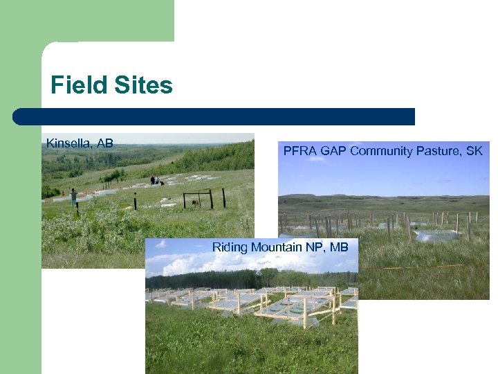Field Sites Kinsella, AB PFRA GAP Community Pasture, SK Riding Mountain NP, MB 