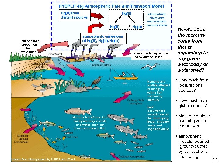 HYSPLIT-Hg Atmospheric Fate and Transport Model Hg(0) from distant sources Hg(0) Hg(II) Hg(p) atmospheric