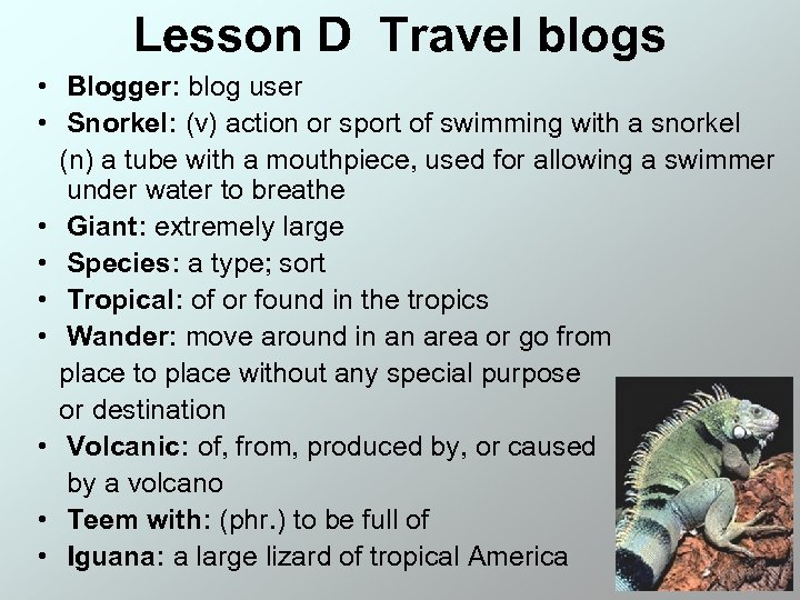Lesson D Travel blogs • Blogger: blog user • Snorkel: (v) action or sport