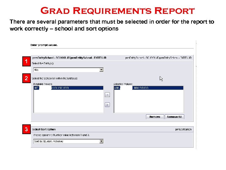 Grad Requirements Report There are several parameters that must be selected in order for
