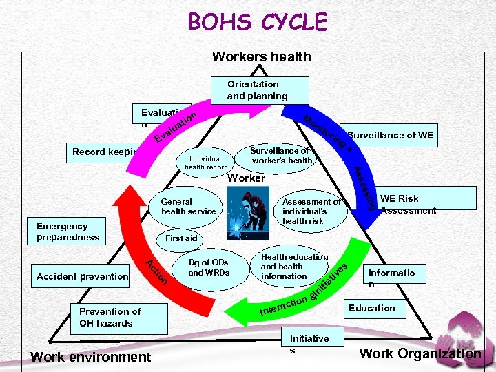 BOHS CYCLE Workers health Orientation and planning Evaluatio n ati lu va E Record