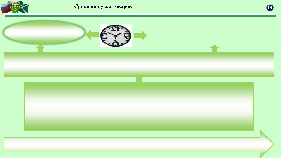 Сроки выпуска товаров 14 