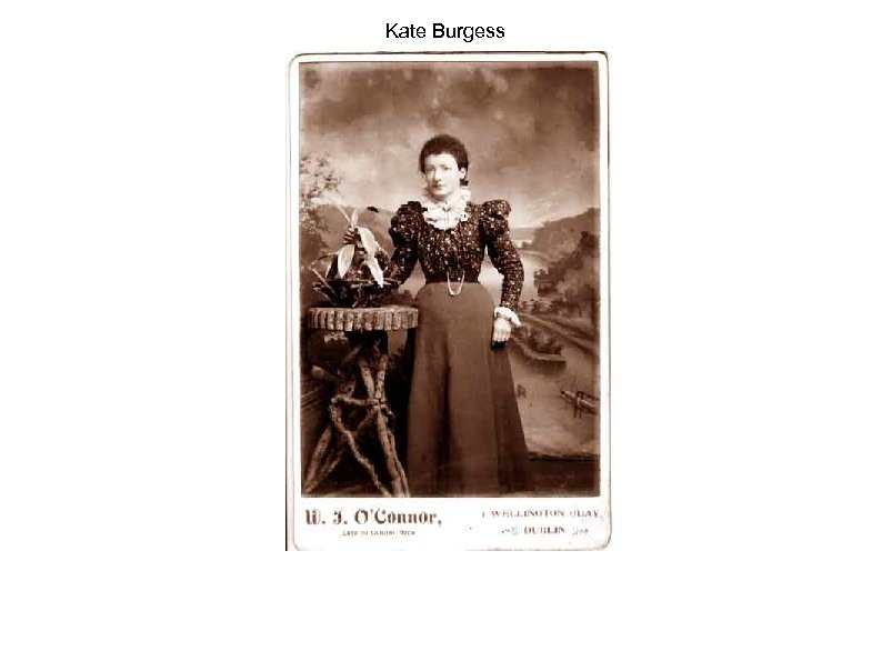 Kate Burgess 