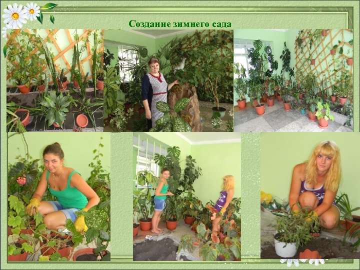 Создание зимнего сада 