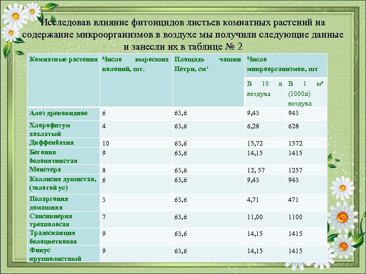 Исследовав влияние фитонцидов листьев комнатных растений на содержание микроорганизмов в воздухе мы получили следующие