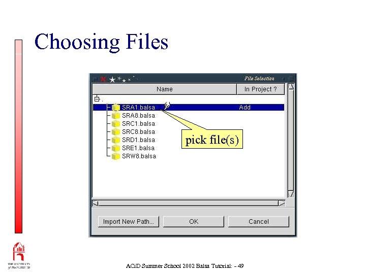 Choosing Files pick file(s) ACi. D Summer School 2002 Balsa Tutorial: - 49 