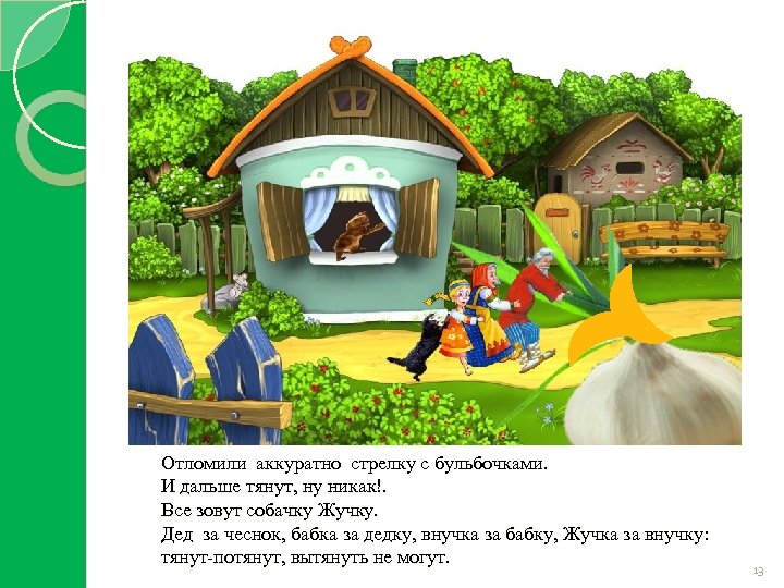 Отломили аккуратно стрелку с бульбочками. И дальше тянут, ну никак!. Все зовут собачку Жучку.