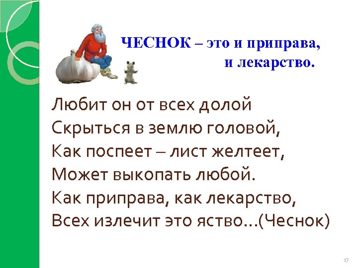 ЧЕСНОК – это и приправа, и лекарство. Любит он от всех долой Скрыться в