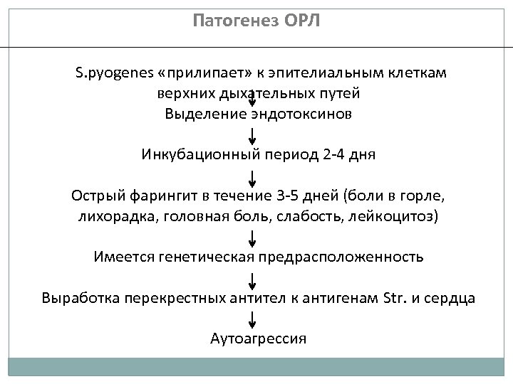 Клиническая картина орл