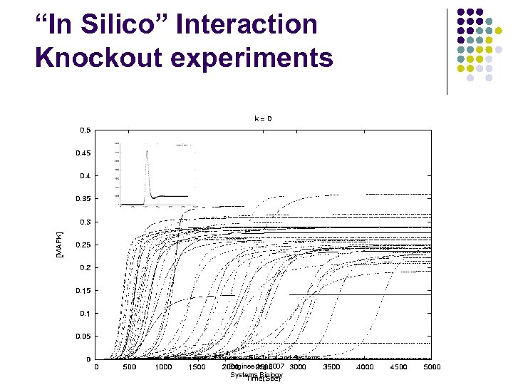 “In Silico” Interaction Knockout experiments Special topics on Electrical and Systems Engineering 2007 Systems