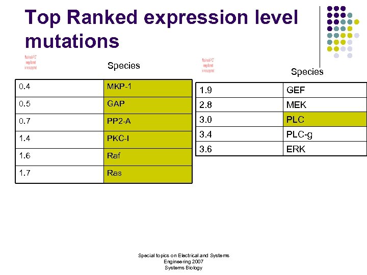 Top Ranked expression level mutations Species 0. 4 MKP-1 1. 9 GEF 0. 5