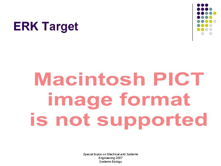 ERK Target Special topics on Electrical and Systems Engineering 2007 Systems Biology 