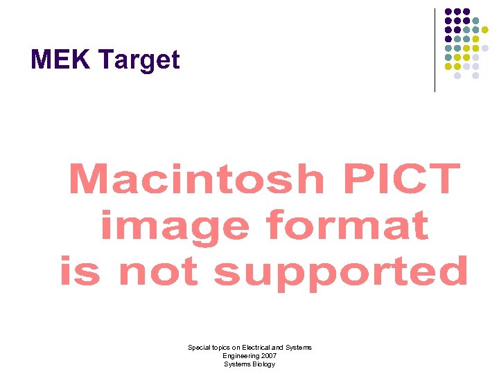 MEK Target Special topics on Electrical and Systems Engineering 2007 Systems Biology 