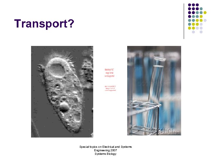Transport? Special topics on Electrical and Systems Engineering 2007 Systems Biology 