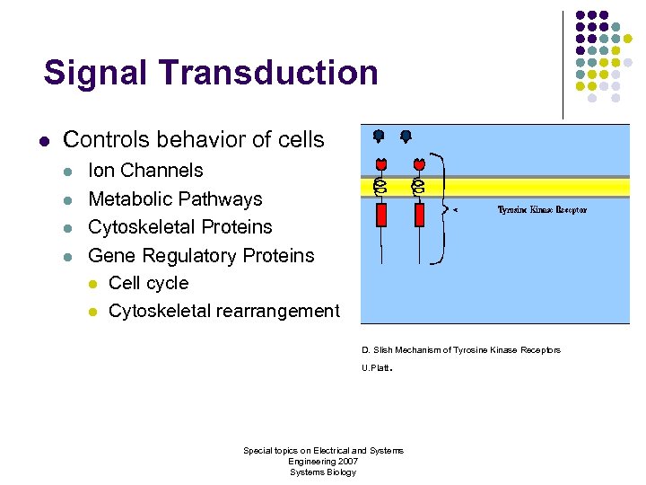 Signal Transduction l Controls behavior of cells l l Ion Channels Metabolic Pathways Cytoskeletal