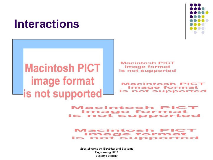 Interactions Special topics on Electrical and Systems Engineering 2007 Systems Biology 