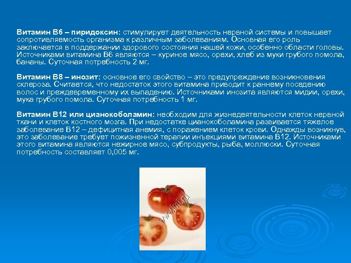 Витамин В 6 – пиридоксин: стимулирует деятельность нервной системы и повышает сопротивляемость организма к