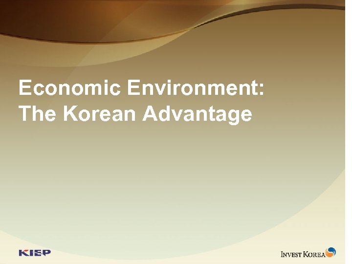 Economic Environment: The Korean Advantage 