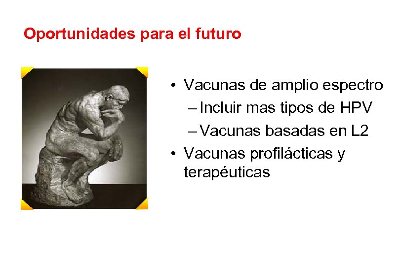 Oportunidades para el futuro • Vacunas de amplio espectro – Incluir mas tipos de
