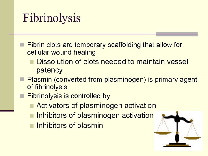 Fibrinolysis n Fibrin clots are temporary scaffolding that allow for cellular wound healing n