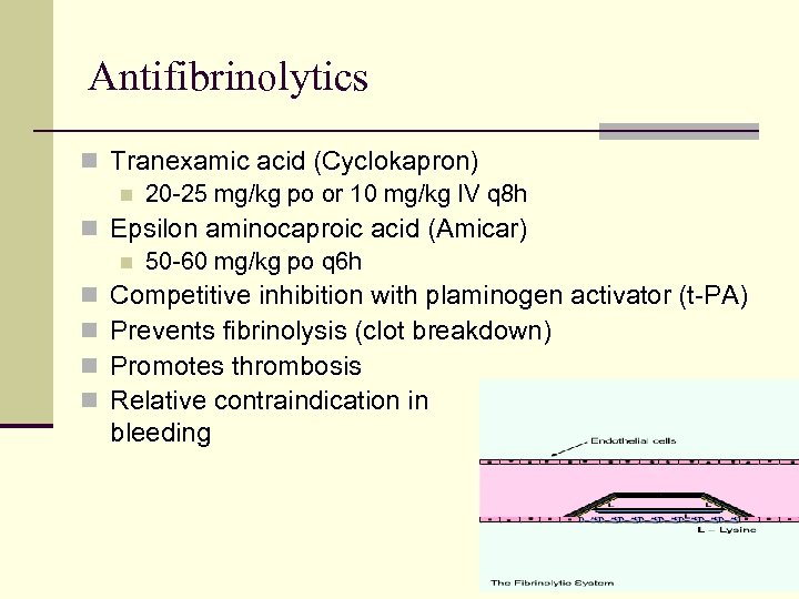 Antifibrinolytics n Tranexamic acid (Cyclokapron) n 20 -25 mg/kg po or 10 mg/kg IV