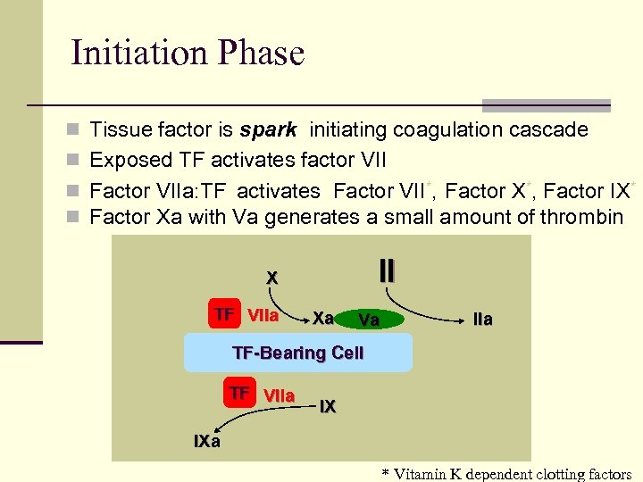 Initiation Phase n Tissue factor is spark initiating coagulation cascade n Exposed TF activates