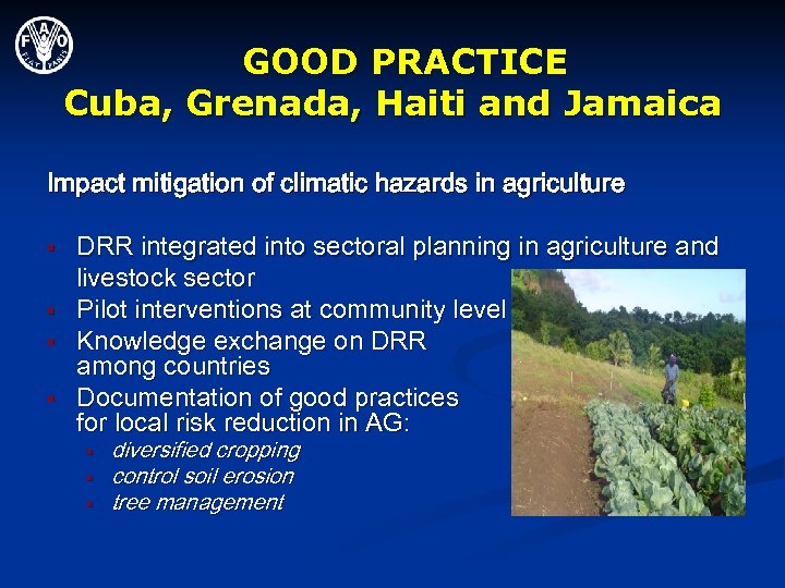 GOOD PRACTICE Cuba, Grenada, Haiti and Jamaica Impact mitigation of climatic hazards in agriculture