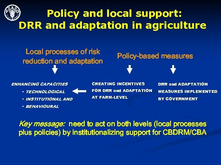 Policy and local support: DRR and adaptation in agriculture Local processes of risk reduction