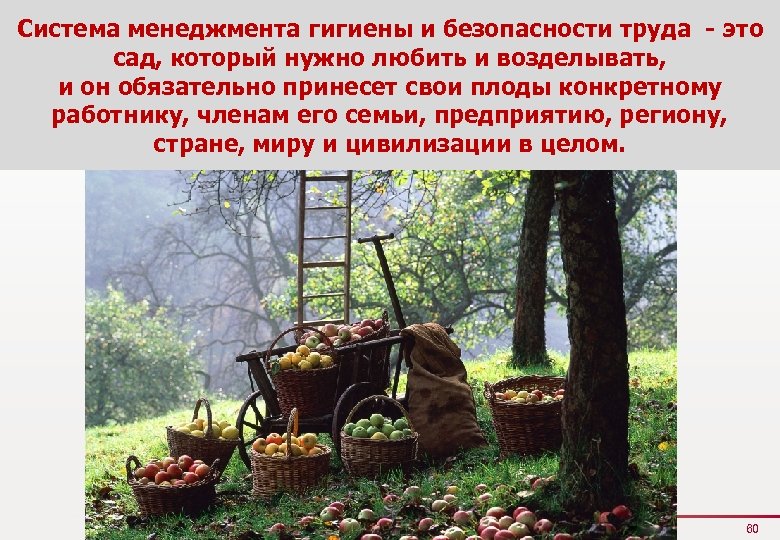 Система менеджмента гигиены и безопасности труда - это сад, который нужно любить и возделывать,