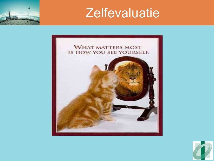 Zelfevaluatie 