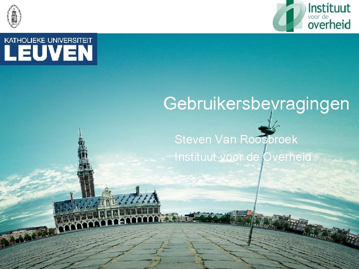 Gebruikersbevragingen Steven Van Roosbroek Instituut voor de Overheid 