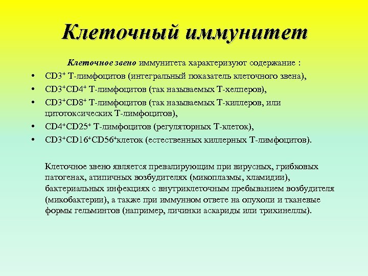 Клеточный иммунитет • • • Клеточное звено иммунитета характеризуют содержание : CD 3+ Т