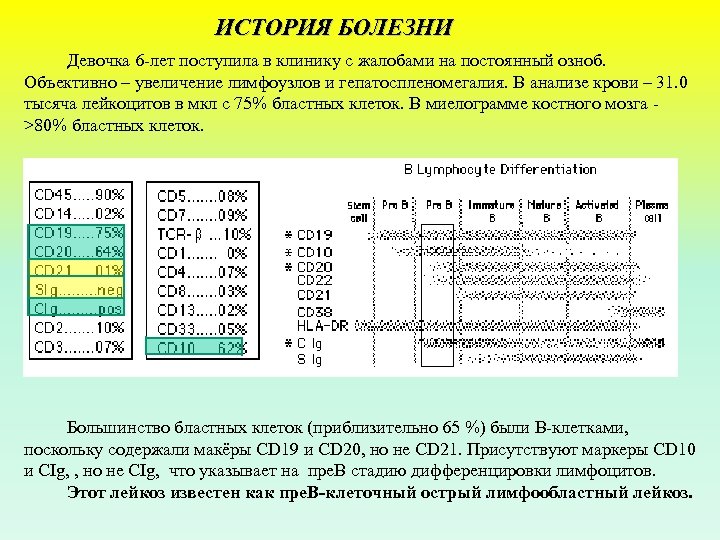 ИСТОРИЯ БОЛЕЗНИ Девочка 6 лет поступила в клинику с жалобами на постоянный озноб. Объективно