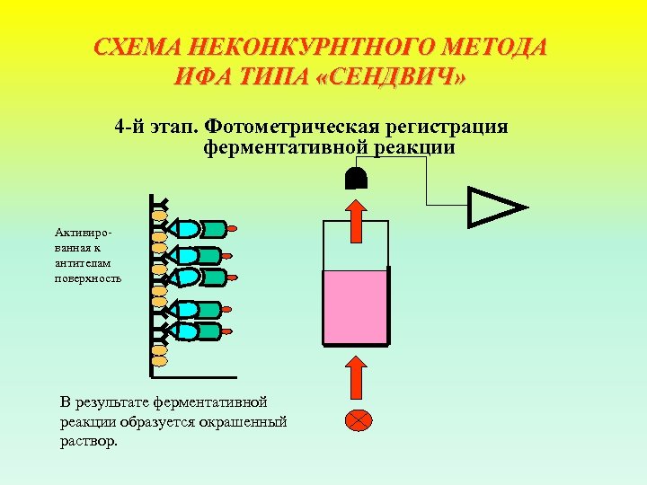 СХЕМА НЕКОНКУРНТНОГО МЕТОДА ИФА ТИПА «СЕНДВИЧ» 4 й этап. Фотометрическая регистрация ферментативной реакции Активиро