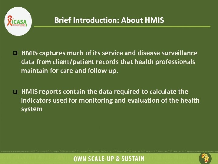 Brief Introduction: About HMIS q HMIS captures much of its service and disease surveillance