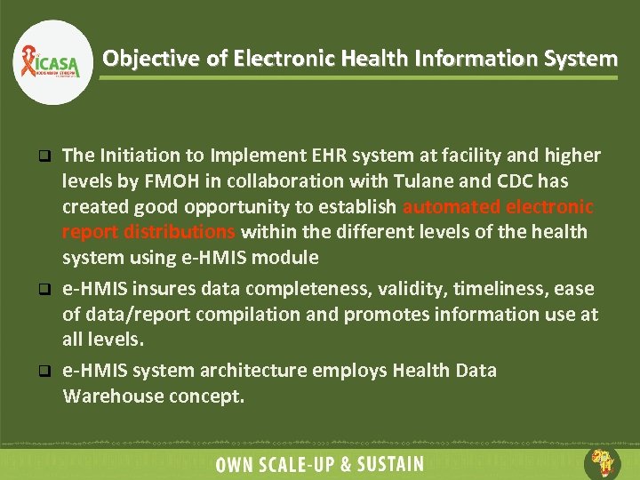 Objective of Electronic Health Information System q q q The Initiation to Implement EHR