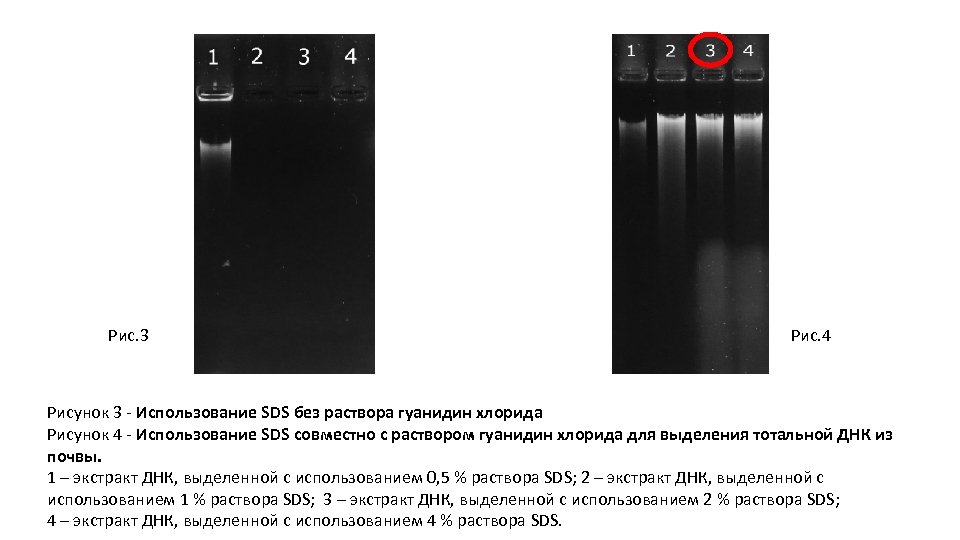 Рис. 3 Рис. 4 Рисунок 3 - Использование SDS без раствора гуанидин хлорида Рисунок