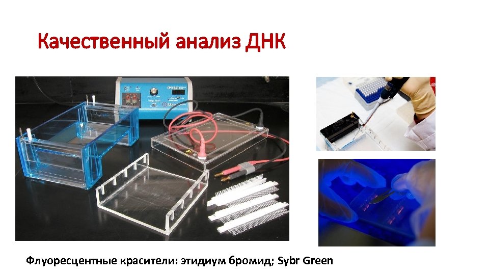 Качественный анализ ДНК Флуоресцентные красители: этидиум бромид; Sybr Green 