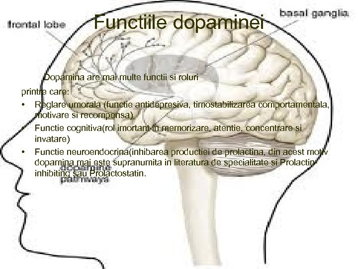 Functiile dopaminei Dopamina are mai multe functii si roluri printre care: • Reglare umorala