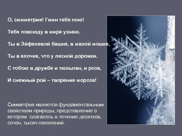 О, симметрия! Гимн тебе пою! Тебя повсюду в мире узнаю. Ты в Эйфелевой башне,